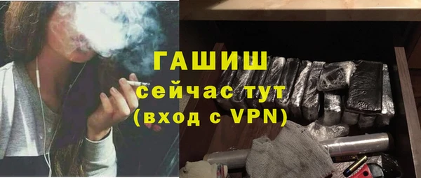 ECSTASY Богданович
