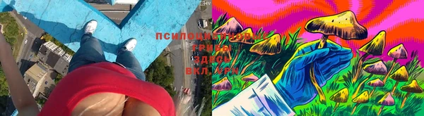 героин Белокуриха